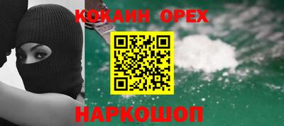 гашик Шелехов