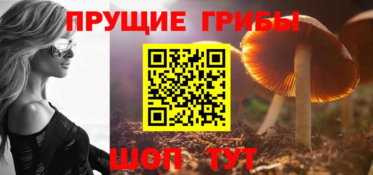 Ярославль  хочу   Галлюциногенные грибы MAGIC MUSHROOMS  Вход с VPN  Галлюциногенные грибы GOLDEN TEACHER 